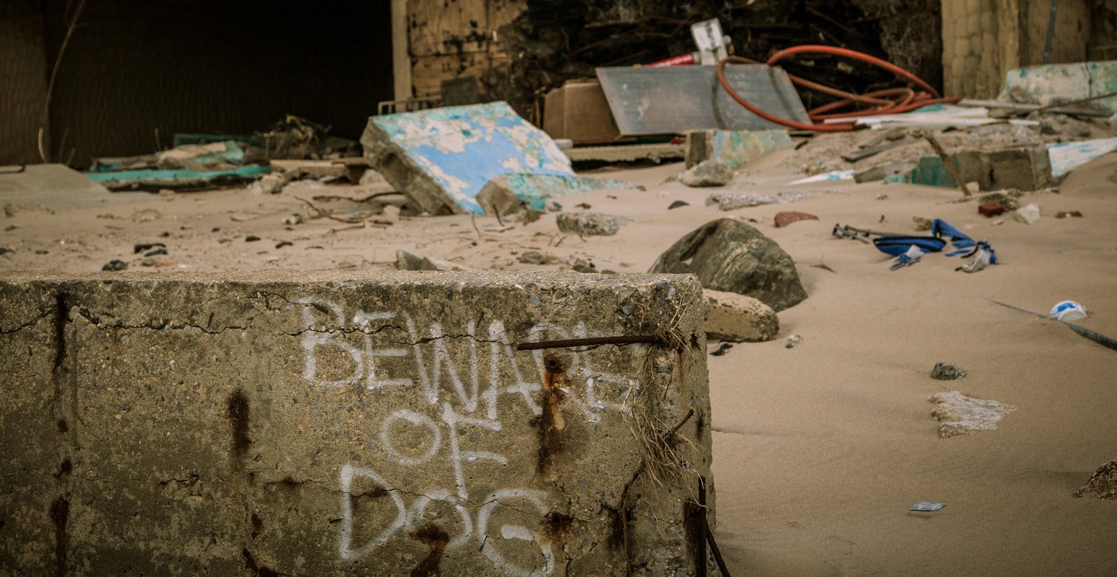 art-of-sandy-mo-seagate 2-52.jpg